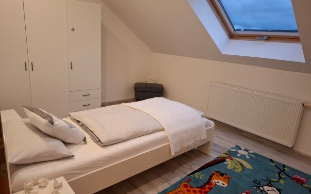 Spacious Furnished Home in Miesau furnished accommodation